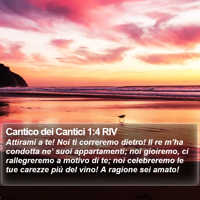 Cantico dei Cantici 1:4 RIV Bible Study