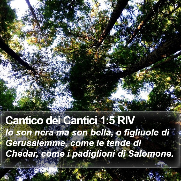 Cantico dei Cantici 1:5 RIV Bible Study