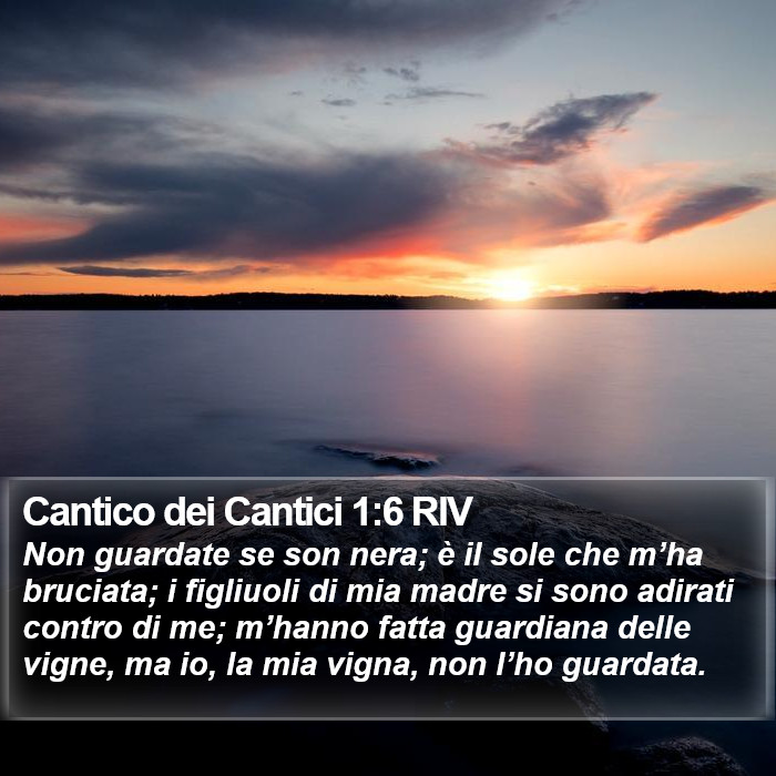 Cantico dei Cantici 1:6 RIV Bible Study