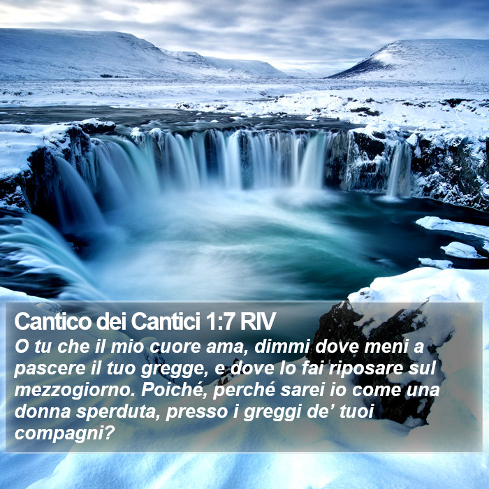 Cantico dei Cantici 1:7 RIV Bible Study