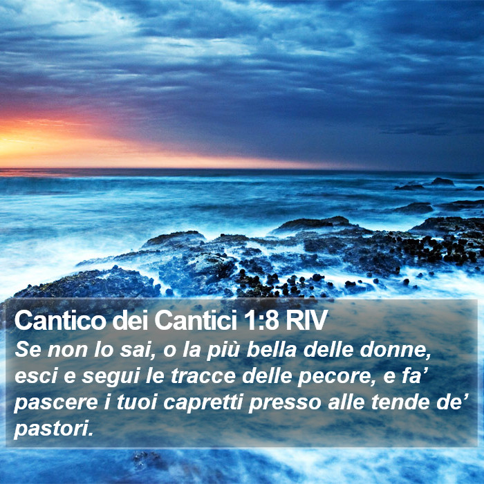 Cantico dei Cantici 1:8 RIV Bible Study