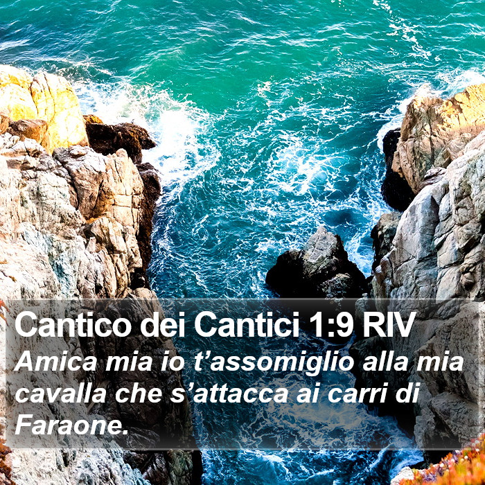 Cantico dei Cantici 1:9 RIV Bible Study