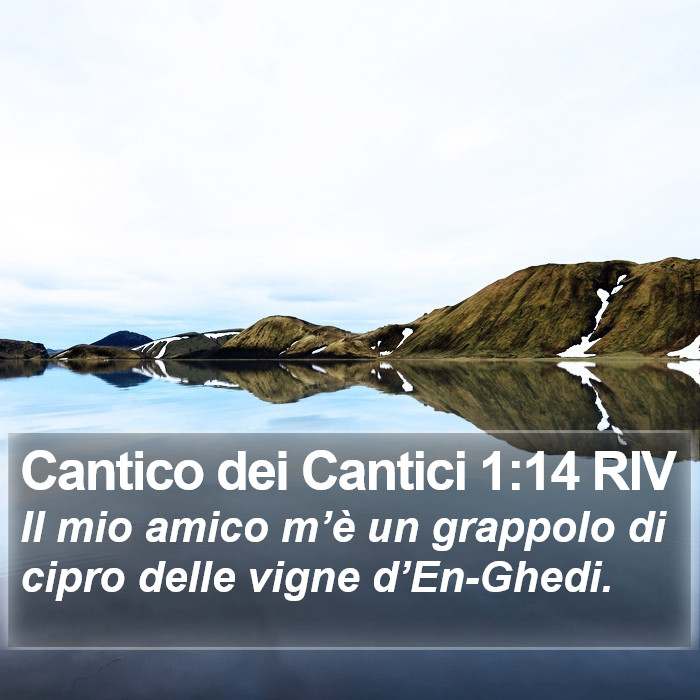 Cantico dei Cantici 1:14 RIV Bible Study