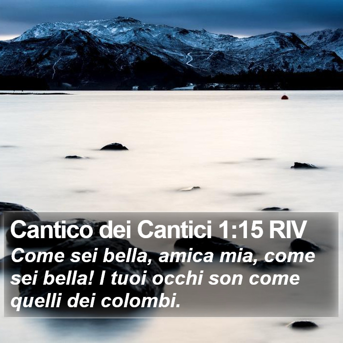 Cantico dei Cantici 1:15 RIV Bible Study