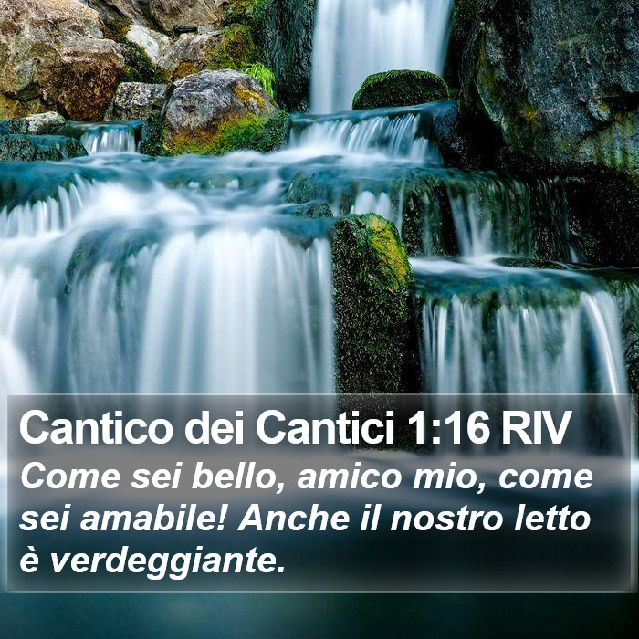 Cantico dei Cantici 1:16 RIV Bible Study