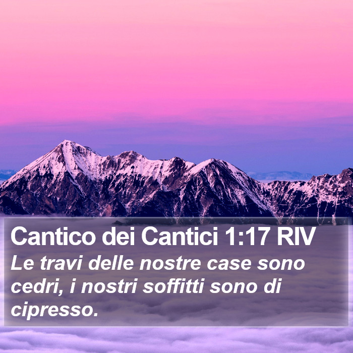 Cantico dei Cantici 1:17 RIV Bible Study