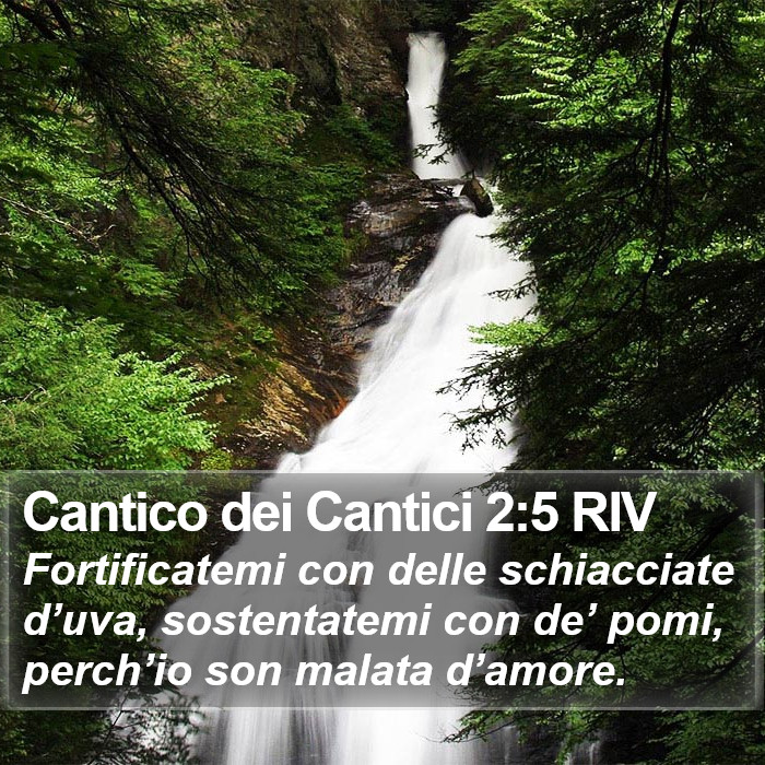 Cantico dei Cantici 2:5 RIV Bible Study