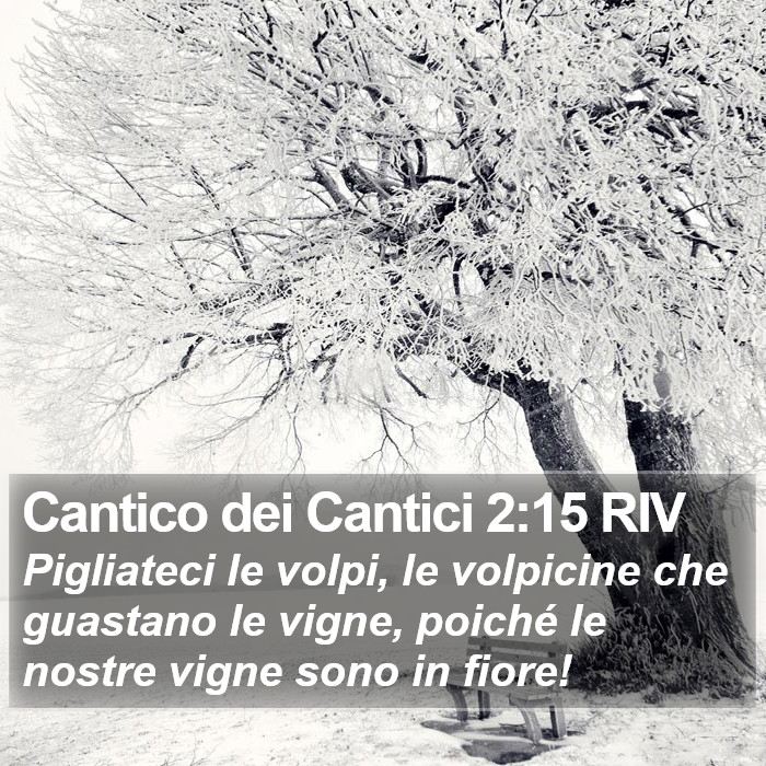 Cantico dei Cantici 2:15 RIV Bible Study