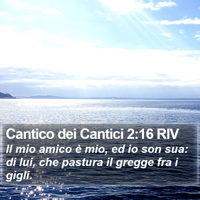 Cantico dei Cantici 2:16 RIV Bible Study