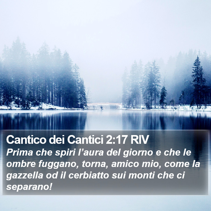 Cantico dei Cantici 2:17 RIV Bible Study