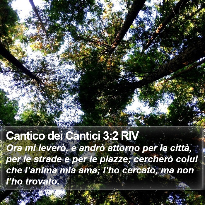 Cantico dei Cantici 3:2 RIV Bible Study