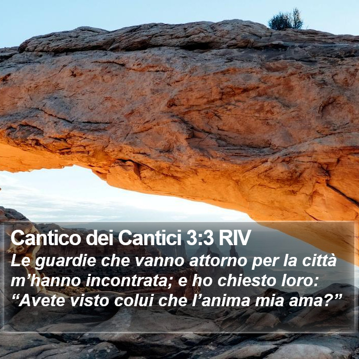 Cantico dei Cantici 3:3 RIV Bible Study