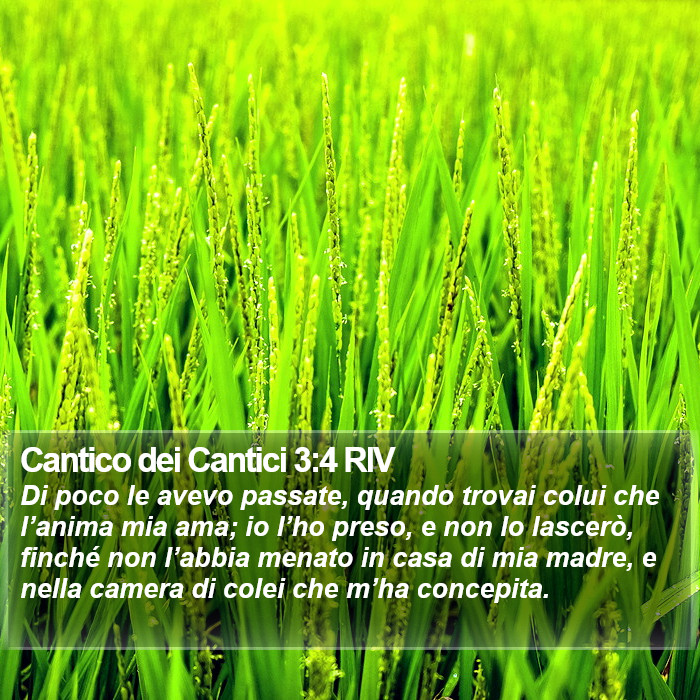 Cantico dei Cantici 3:4 RIV Bible Study