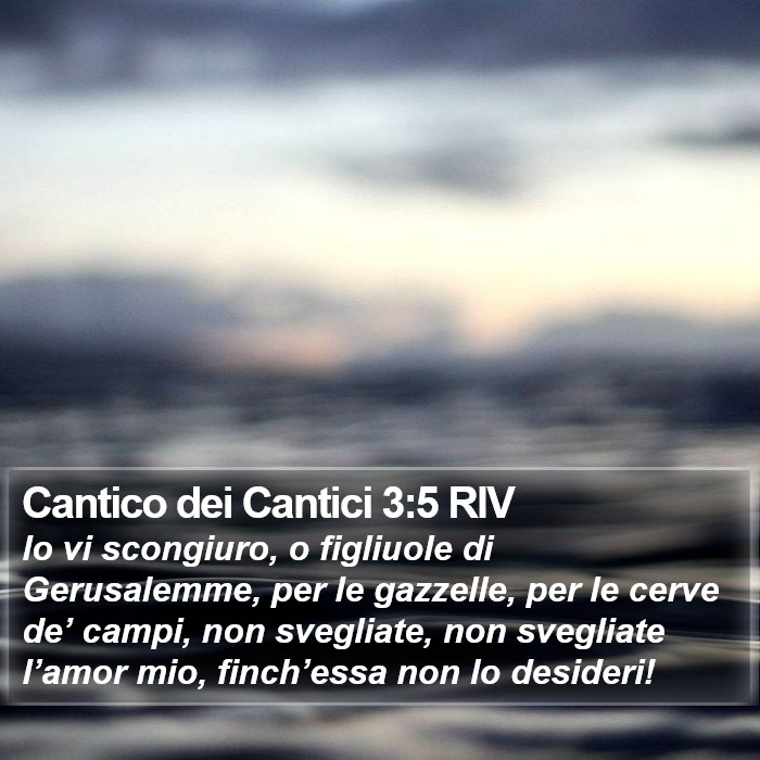 Cantico dei Cantici 3:5 RIV Bible Study