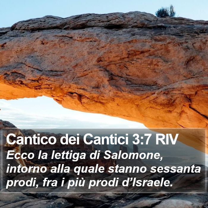 Cantico dei Cantici 3:7 RIV Bible Study