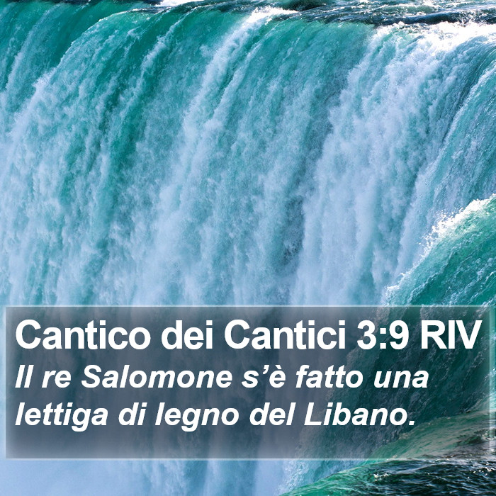 Cantico dei Cantici 3:9 RIV Bible Study