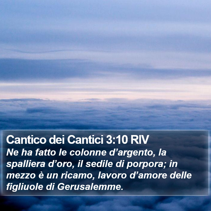 Cantico dei Cantici 3:10 RIV Bible Study