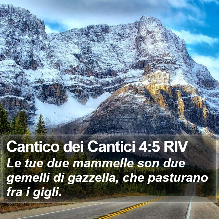 Cantico dei Cantici 4:5 RIV Bible Study