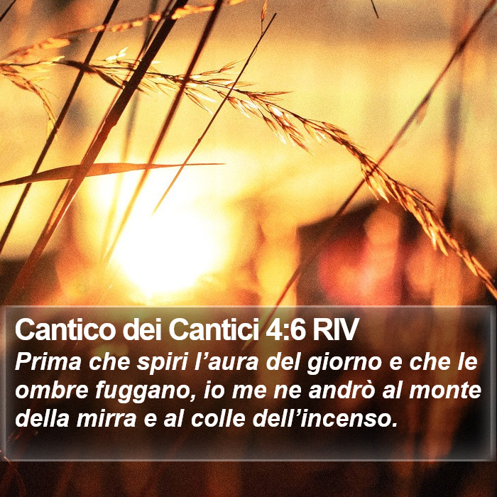 Cantico dei Cantici 4:6 RIV Bible Study