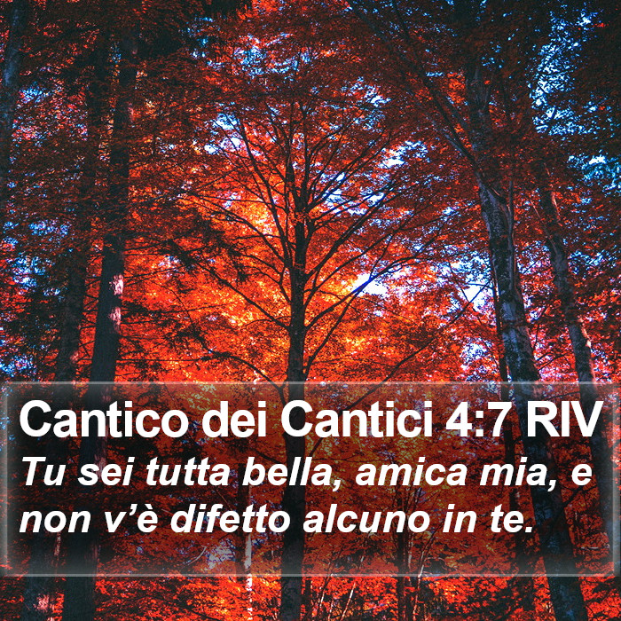 Cantico dei Cantici 4:7 RIV Bible Study