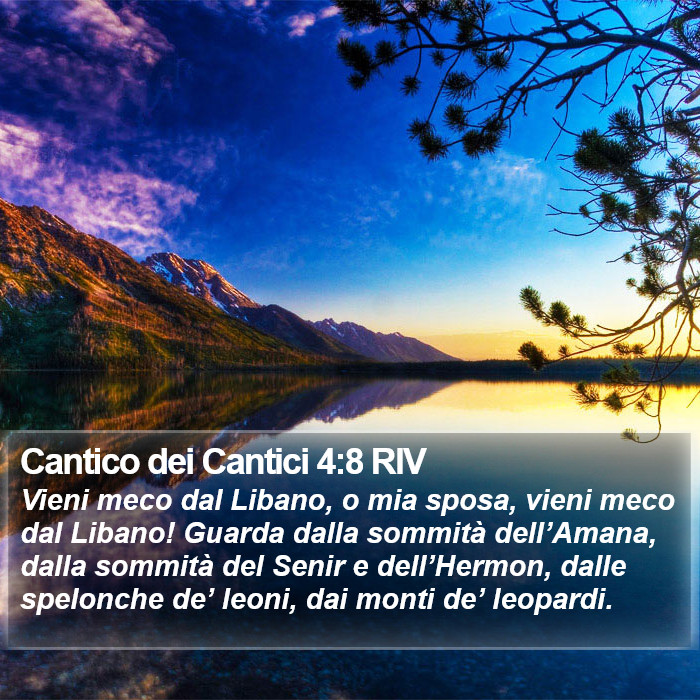 Cantico dei Cantici 4:8 RIV Bible Study