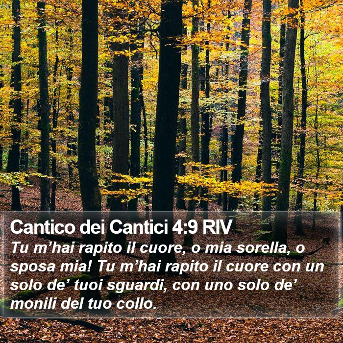 Cantico dei Cantici 4:9 RIV Bible Study