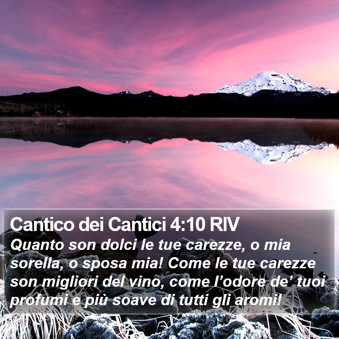 Cantico dei Cantici 4:10 RIV Bible Study