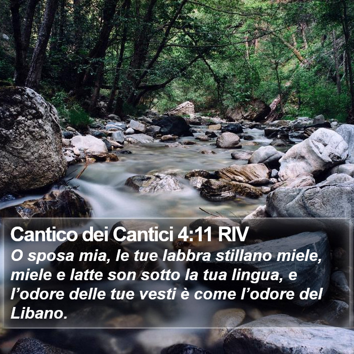 Cantico dei Cantici 4:11 RIV Bible Study