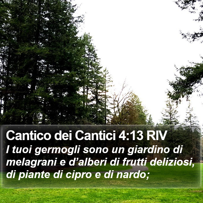 Cantico dei Cantici 4:13 RIV Bible Study