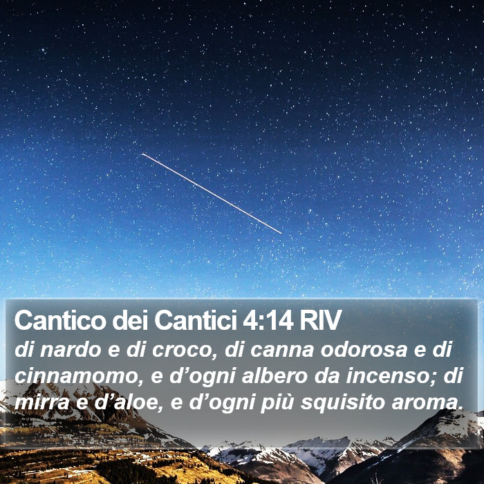 Cantico dei Cantici 4:14 RIV Bible Study