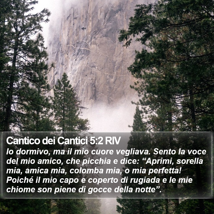 Cantico dei Cantici 5:2 RIV Bible Study