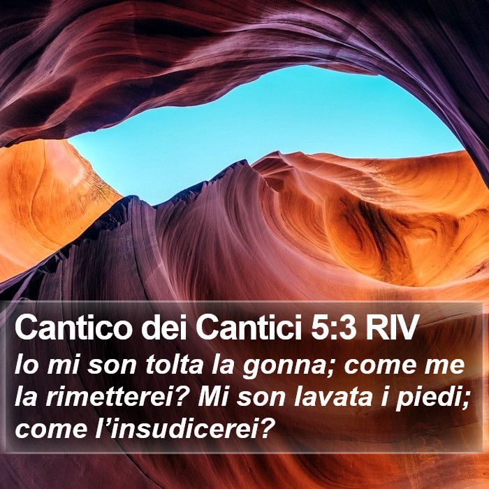 Cantico dei Cantici 5:3 RIV Bible Study