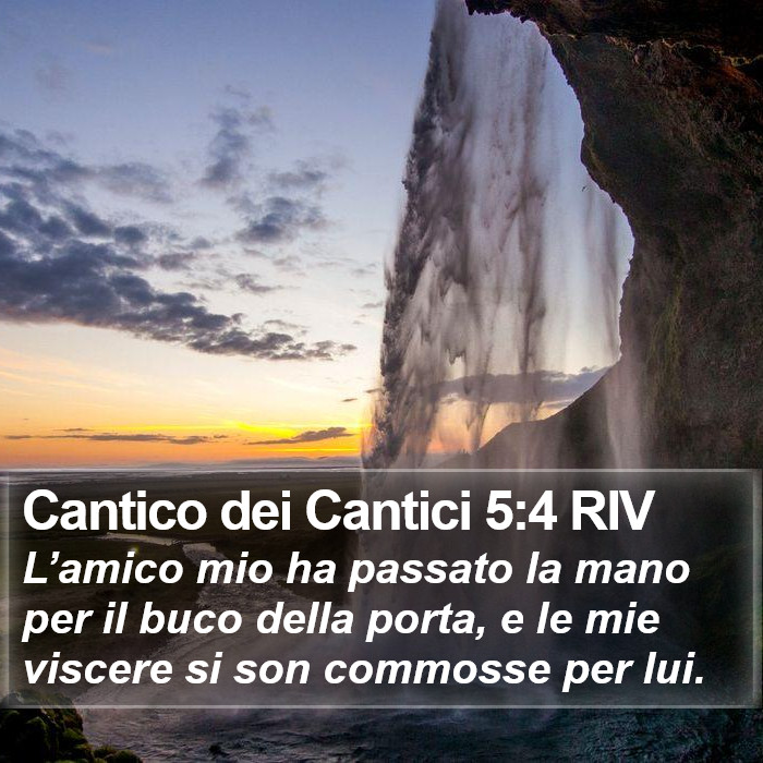 Cantico dei Cantici 5:4 RIV Bible Study