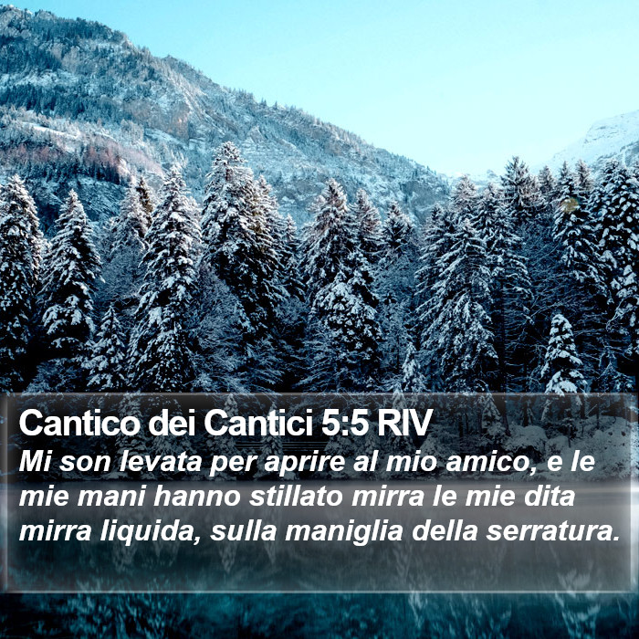 Cantico dei Cantici 5:5 RIV Bible Study