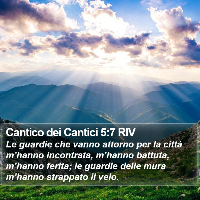 Cantico dei Cantici 5:7 RIV Bible Study