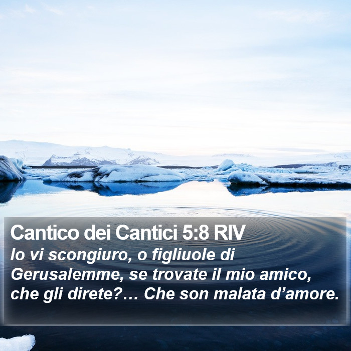 Cantico dei Cantici 5:8 RIV Bible Study