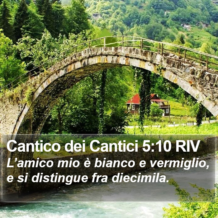 Cantico dei Cantici 5:10 RIV Bible Study