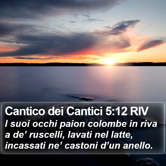 Cantico dei Cantici 5:12 RIV Bible Study