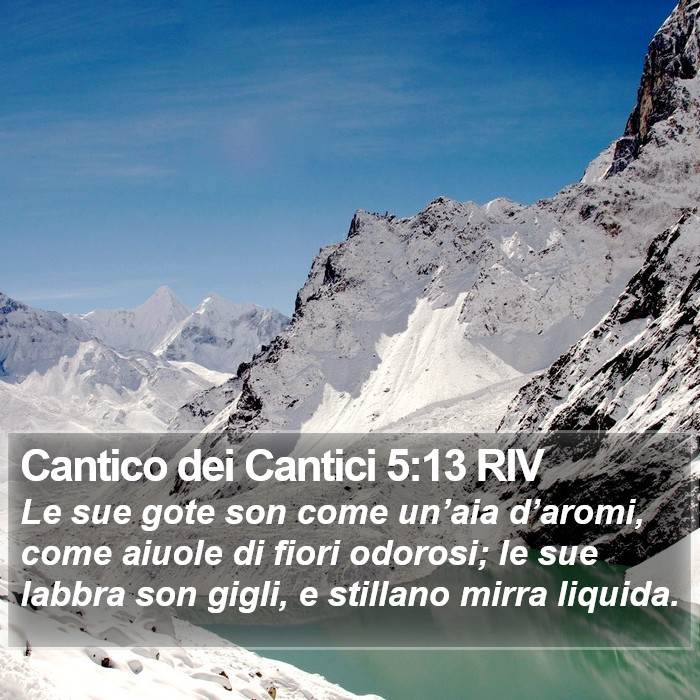 Cantico dei Cantici 5:13 RIV Bible Study