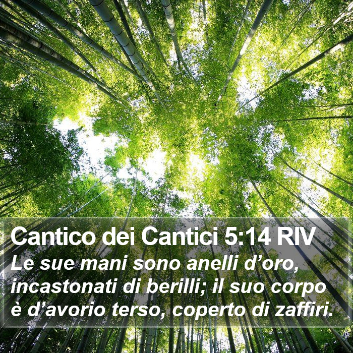 Cantico dei Cantici 5:14 RIV Bible Study