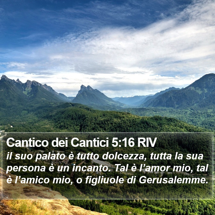 Cantico dei Cantici 5:16 RIV Bible Study