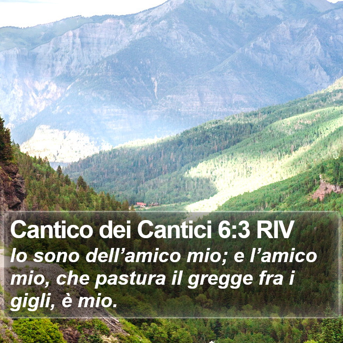 Cantico dei Cantici 6:3 RIV Bible Study