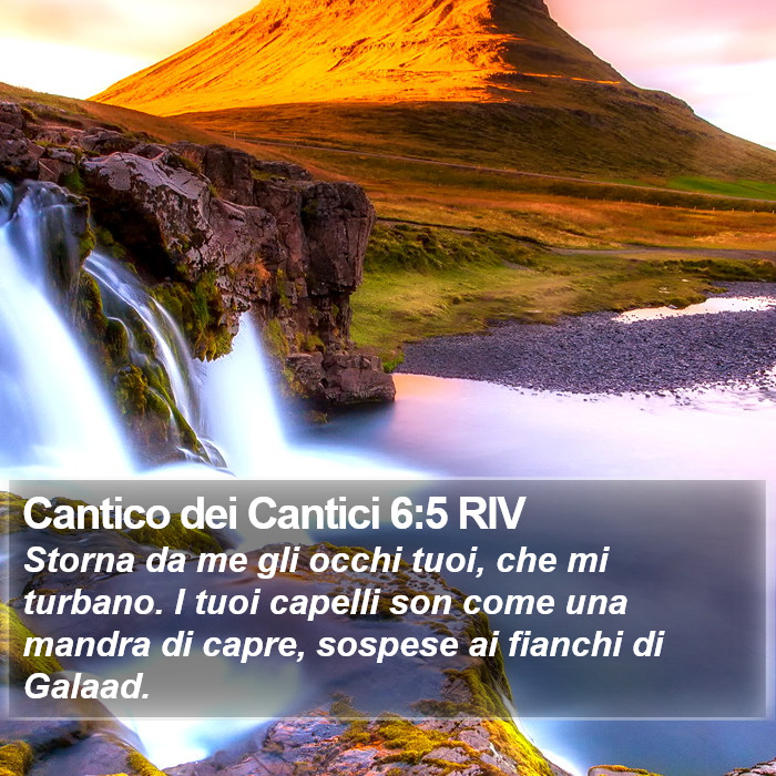 Cantico dei Cantici 6:5 RIV Bible Study