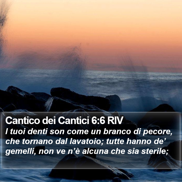 Cantico dei Cantici 6:6 RIV Bible Study