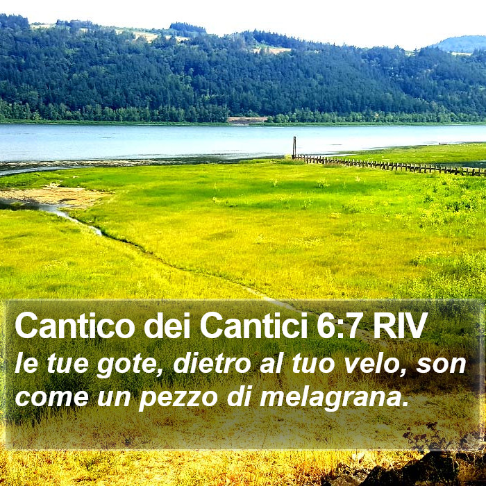 Cantico dei Cantici 6:7 RIV Bible Study