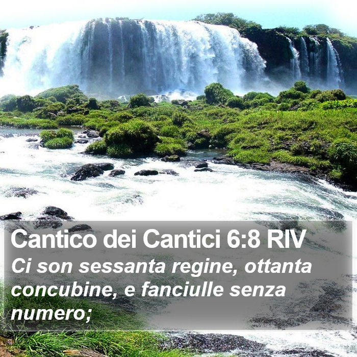 Cantico dei Cantici 6:8 RIV Bible Study