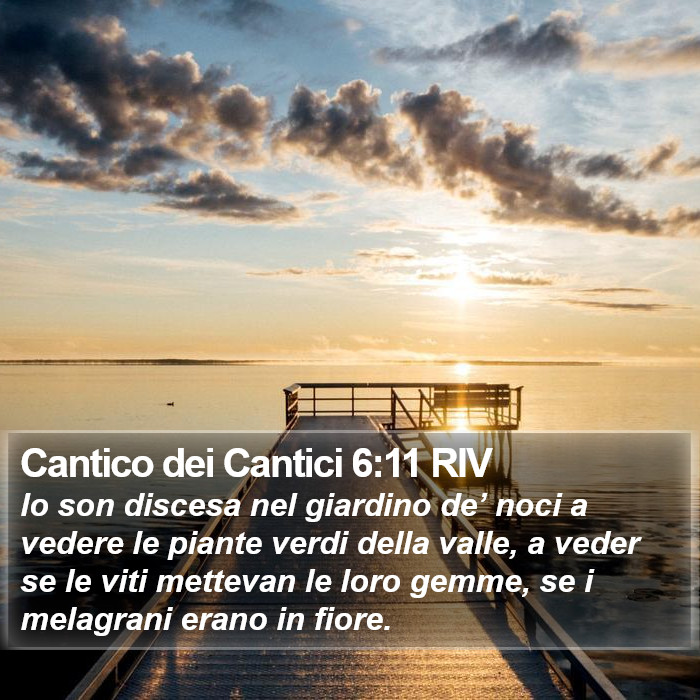 Cantico dei Cantici 6:11 RIV Bible Study