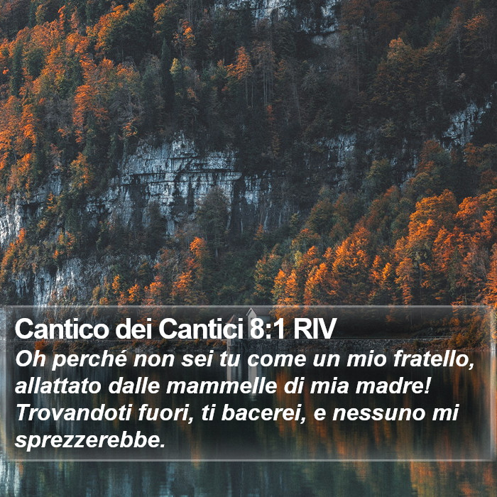 Cantico dei Cantici 8:1 RIV Bible Study