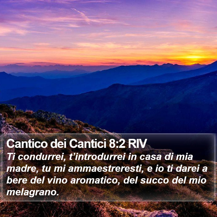 Cantico dei Cantici 8:2 RIV Bible Study