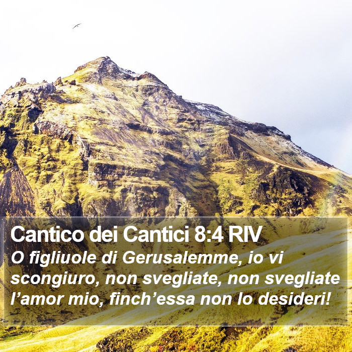 Cantico dei Cantici 8:4 RIV Bible Study